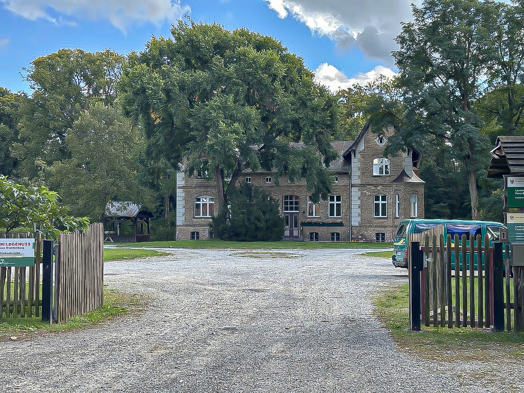 Wilde Sophie, BBQ, Wild, Grill Kurs, Wildbret, Forstbetrieb Hammer