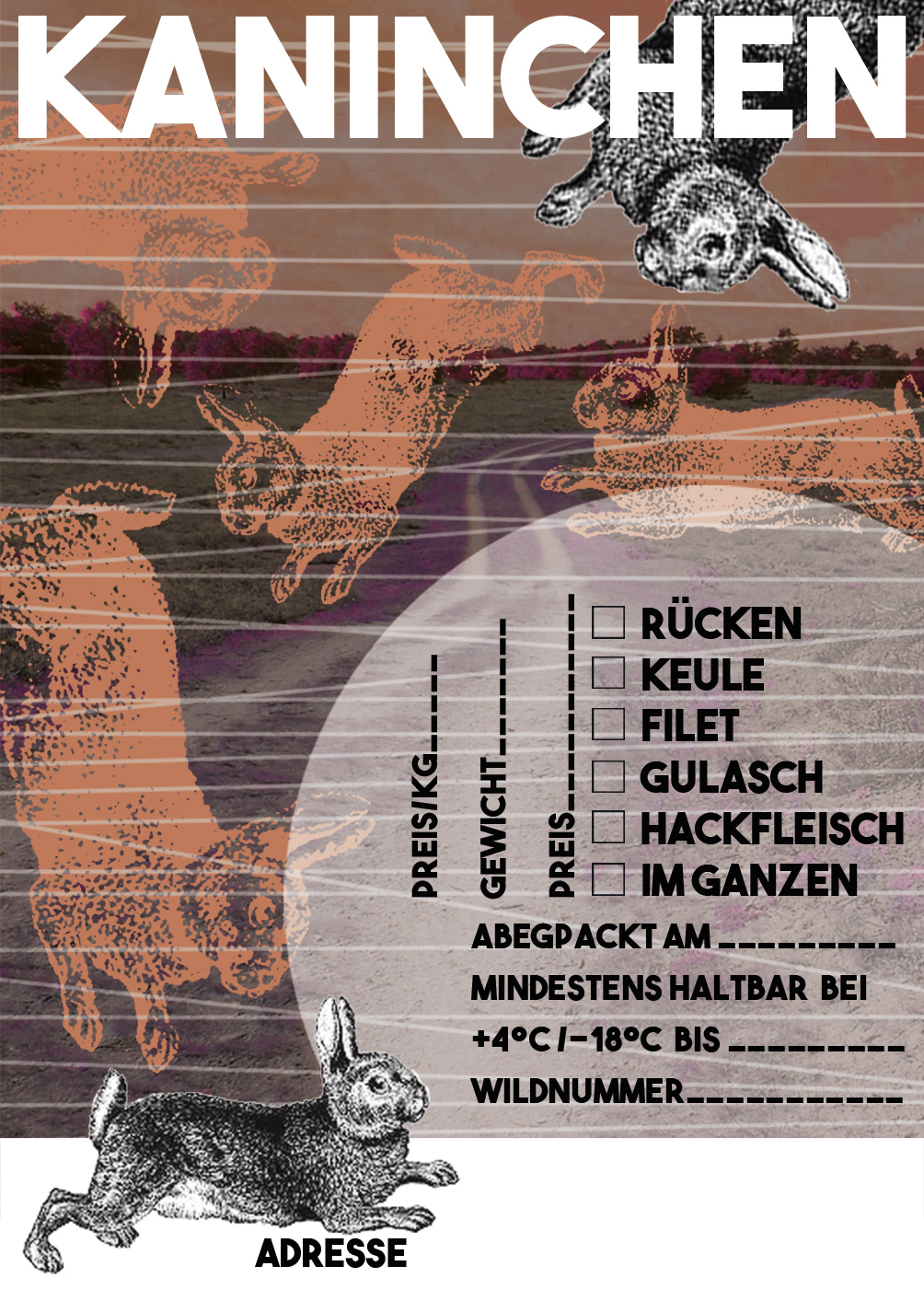 WILDE ETIKETTEN – Bild 10