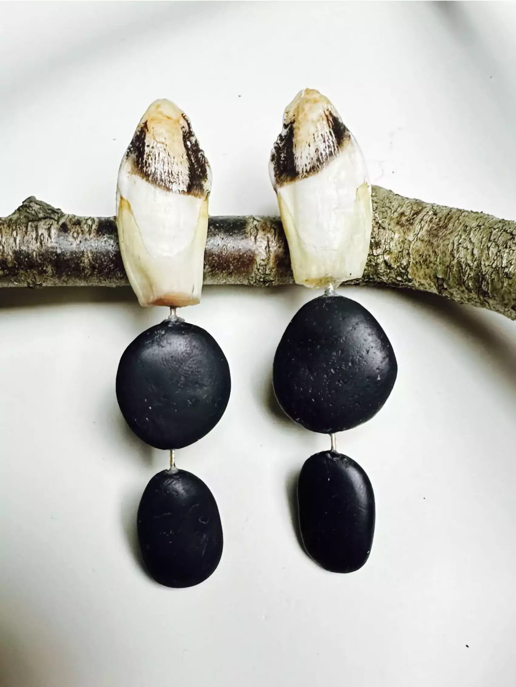 Two pale buds with dark-tipped ends mounted on a rough branch, with a string of black circular beads hanging below.
